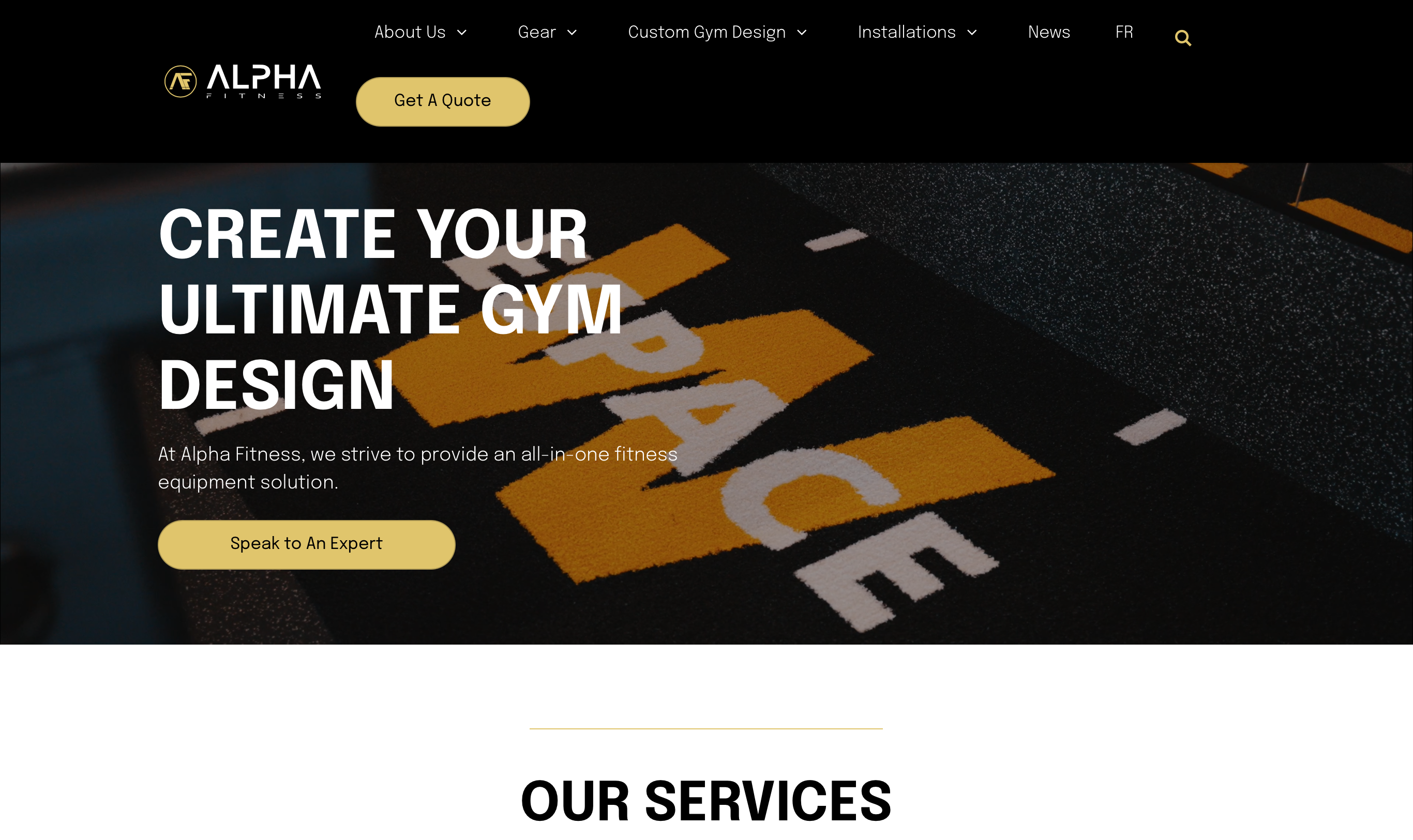 Alpha Fitness website